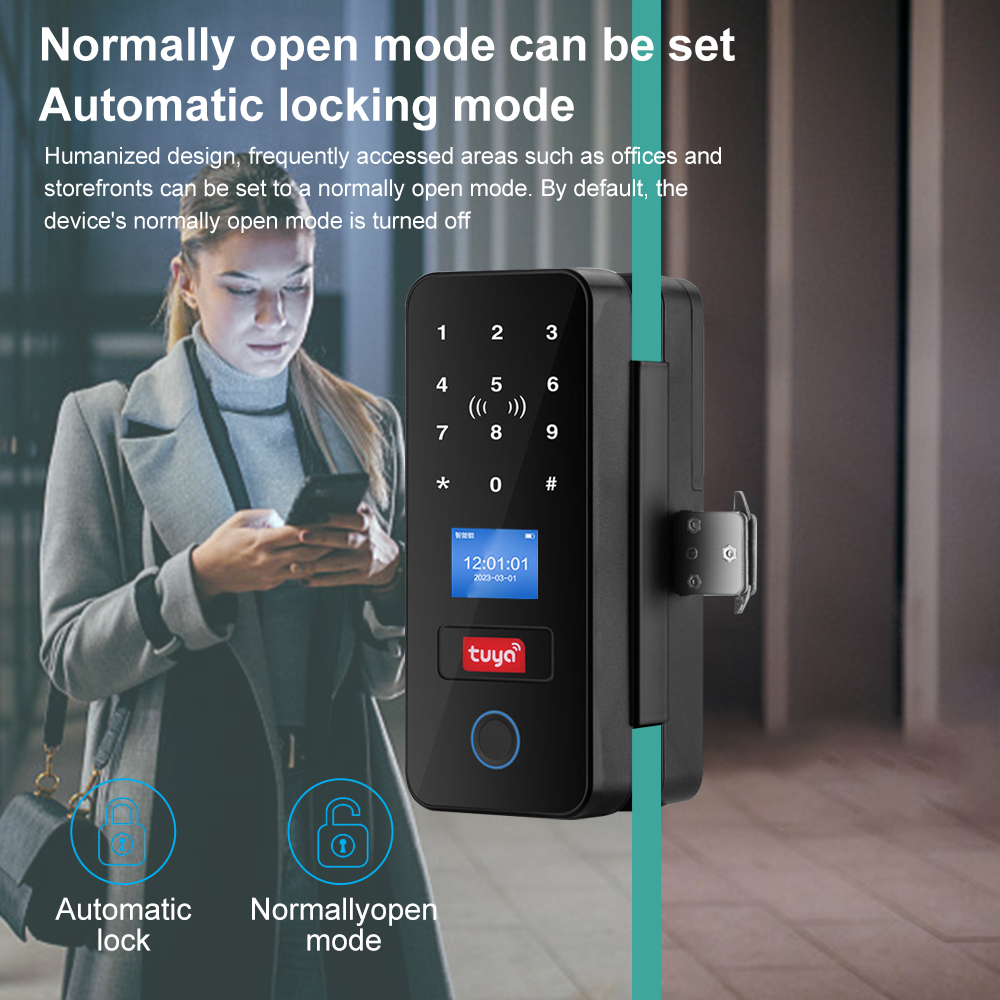 Serrure de porte intelligente  - Home Security Keypad avis et prix