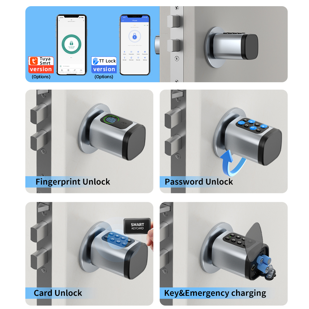RAYKUBE V1 Tuya BLE TT serrure - Home Security Keypad avis et prix